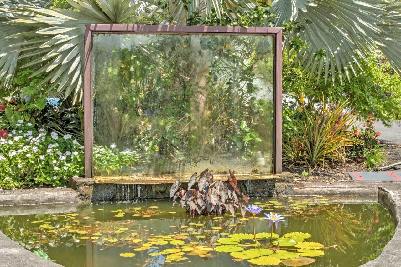 Direct Oceanfront, Big Island Home ケアアウ エクステリア 写真